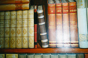 Trompe l'Oeil libreria